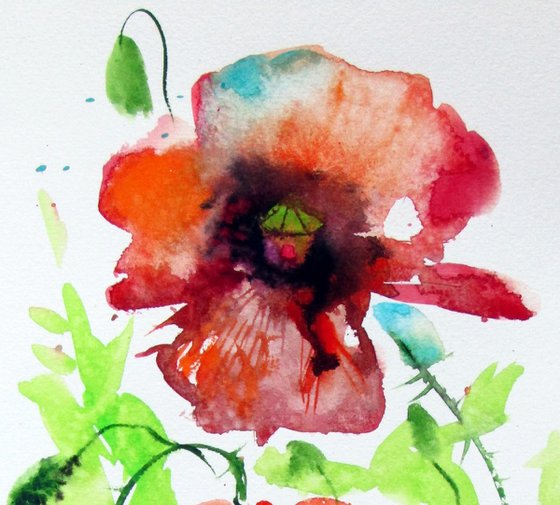 Playful poppies III