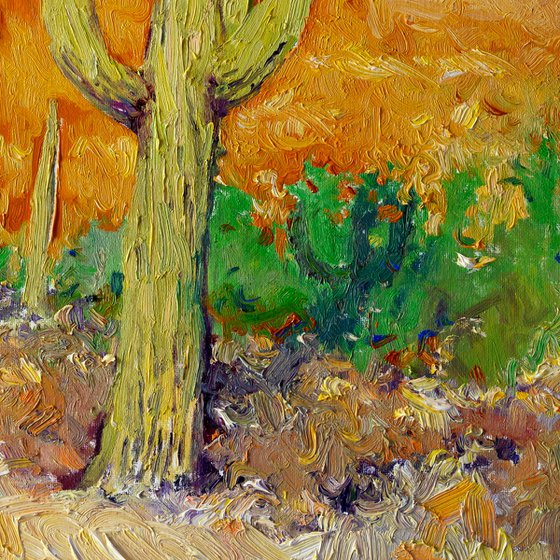 Saguaro Cactuses