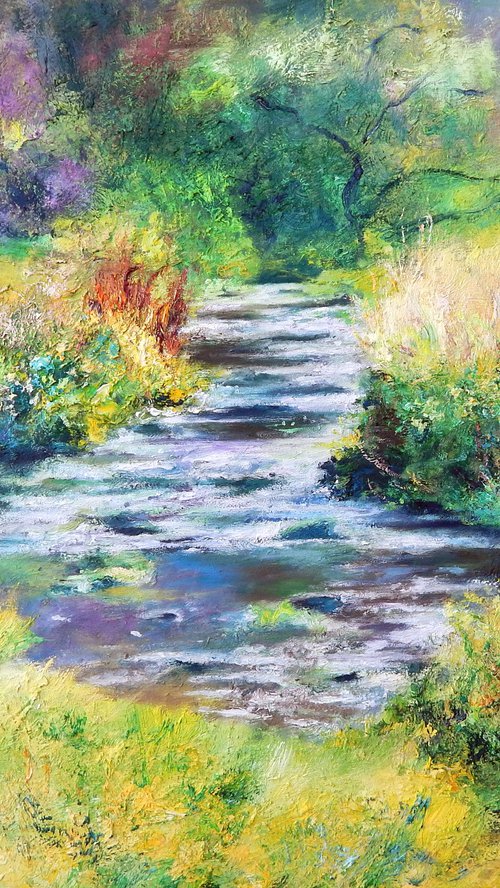 Freshwater stream by Richard Freer