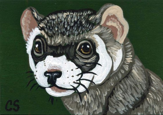 ACEO ATC Original Painting Ferret Pet Rodent Art-Carla Smale