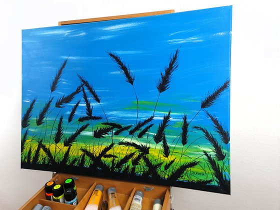 Sunrise in the grass