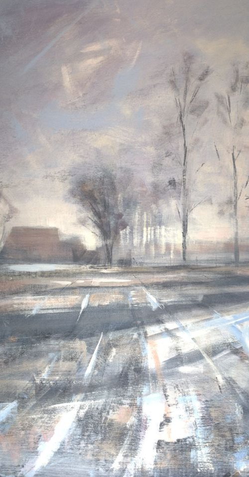 early morning frost and low sun by Tom Cringle
