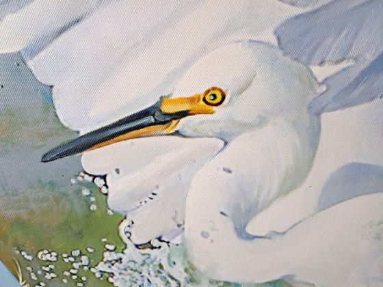 A MATING DANCE OF HERONS