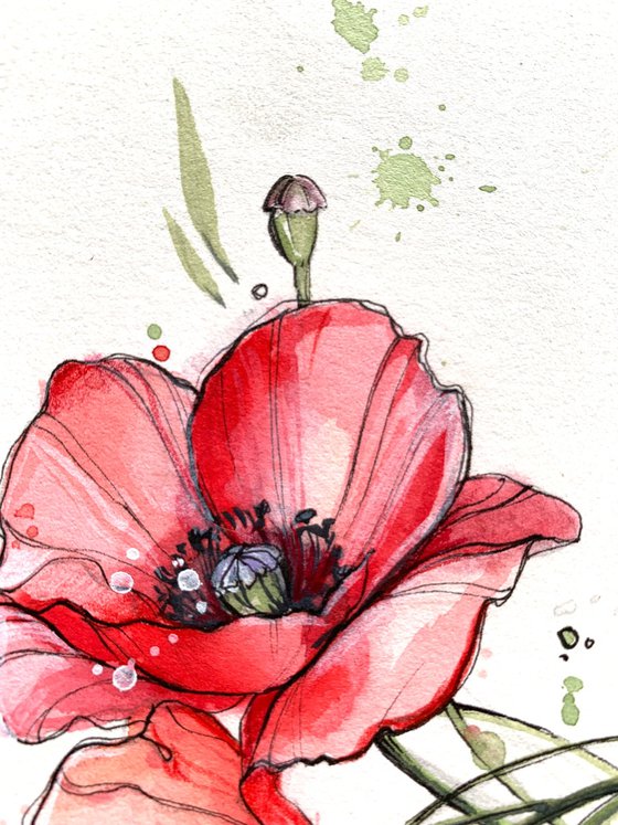 Poppies