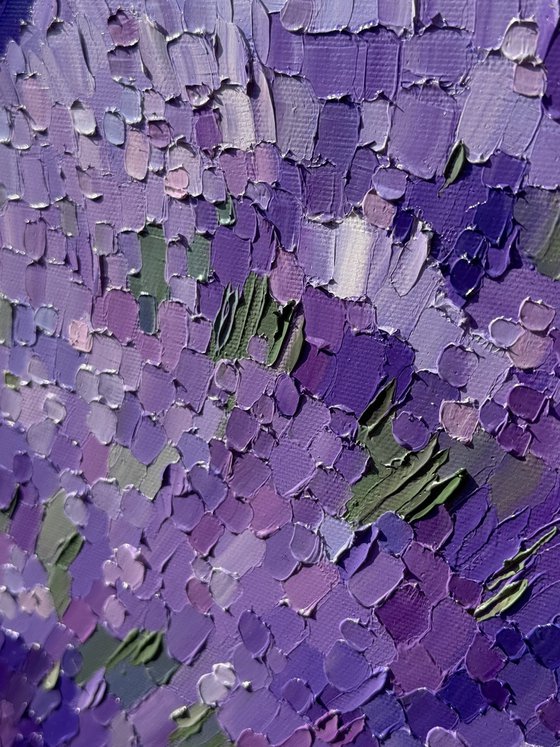 Lavender Dusk
