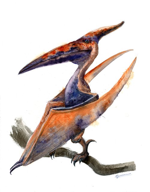 Pterodactyl  - Original Watercolor Painting by Olga Shefranov (Tchefranov)