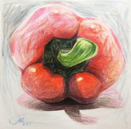No.75, A Red Bell Pepper by sedigheh zoghi