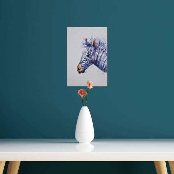 Zebra