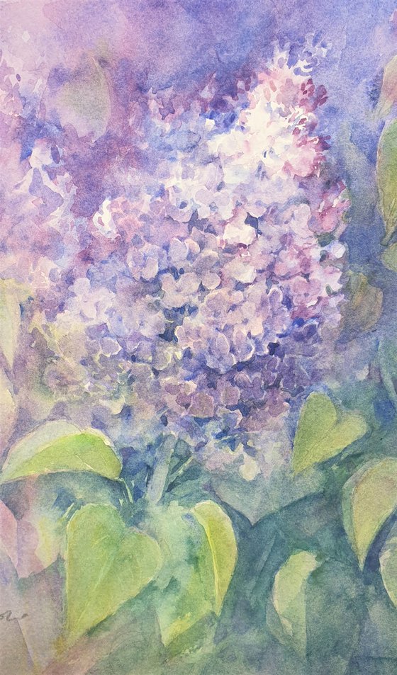 watercolour LILAC LILAC II flower painting 40x30/ 2020.021