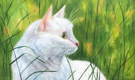 white Cat for a walk. Realistic Portrait a lovely Cat