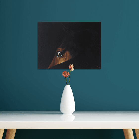 horse eye