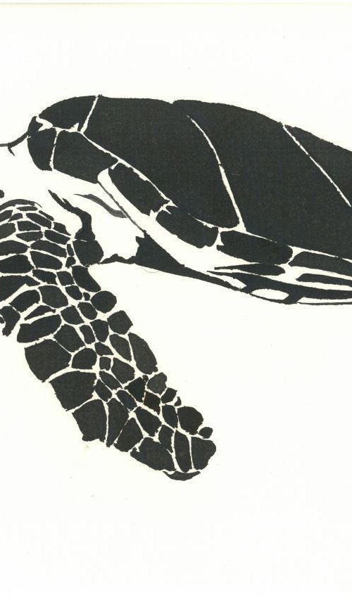 Turtle I Animal Drawing by Ricardo Machado