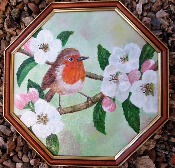 Robin Bird and Apple Blossom