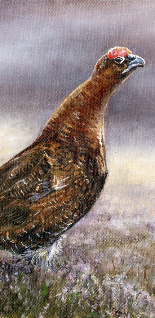 Red Grouse by Una Hurst