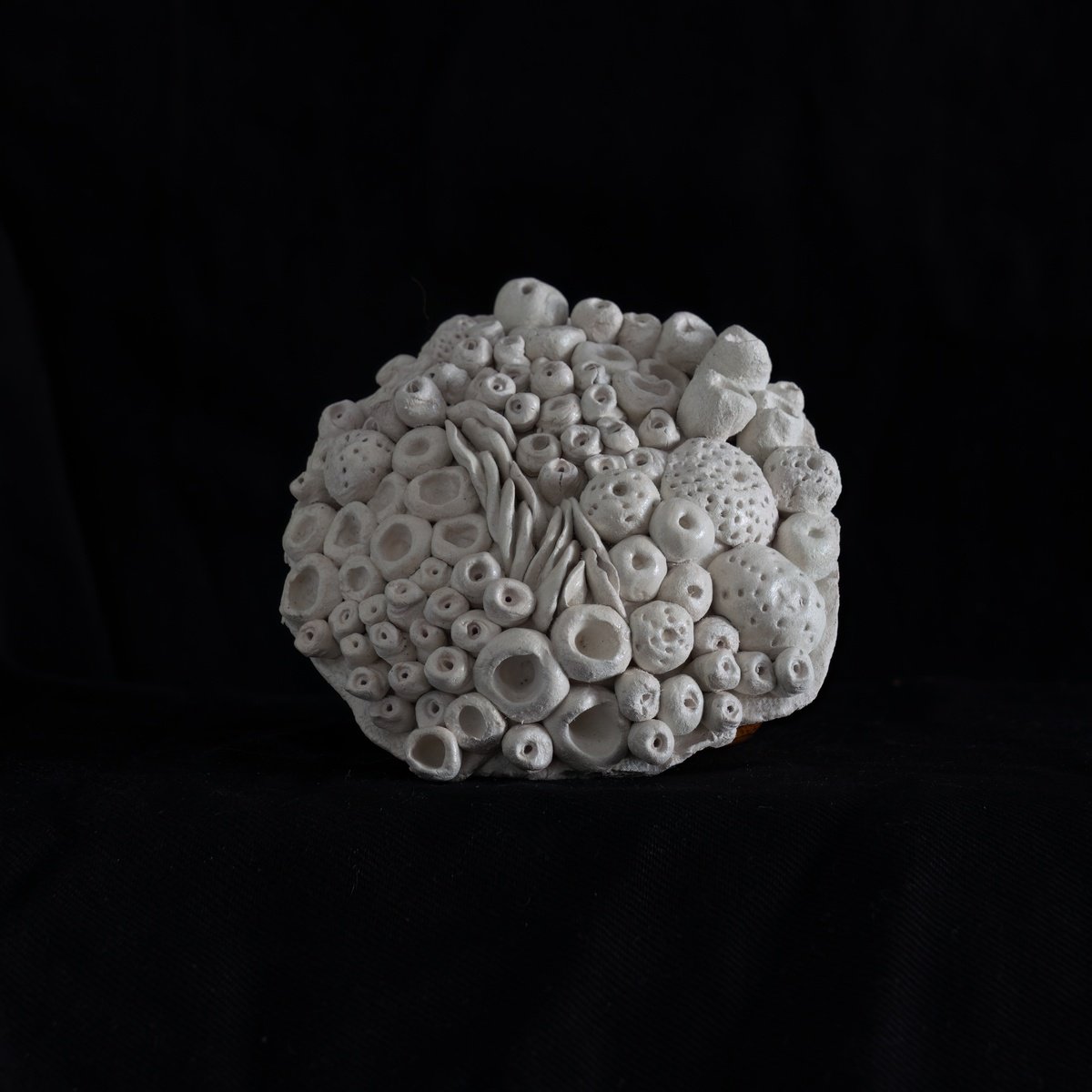 Animal Clay Sculpture By Paul Nash, 4 X 4", Seabed Coral Animals, Original Artwork