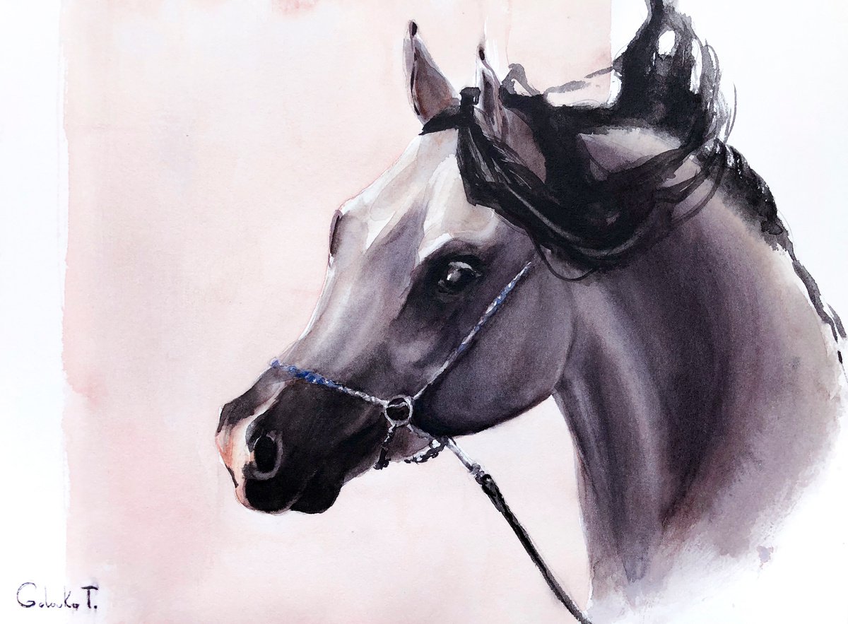 Arabian horse portrait by Tatiana Golovko