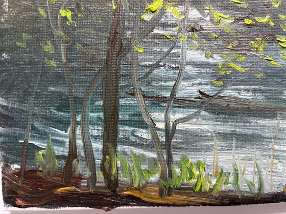 Birch trees on the lake