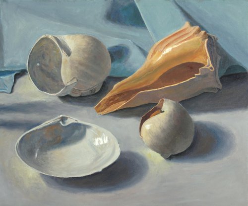 Shells by Douglas Newton