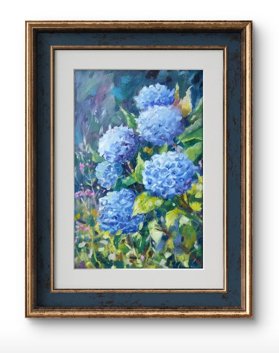 Hydrangeas flowers