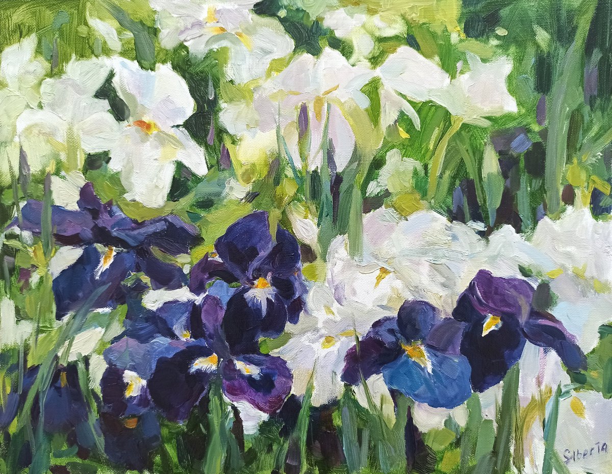 Irises by Elena Utkina