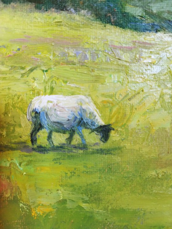 Three sheep