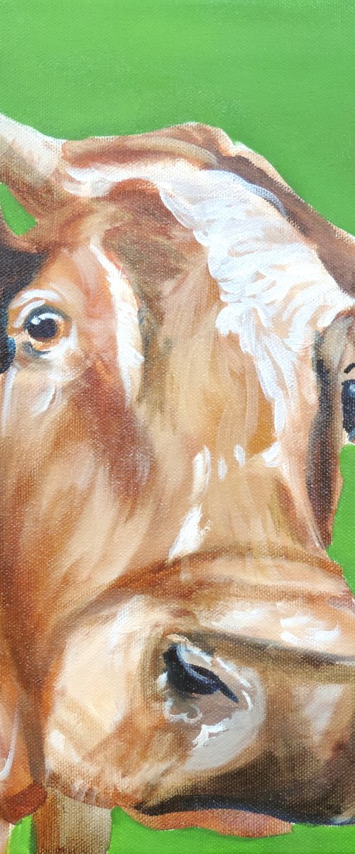 Cow painting by Gordon Bruce