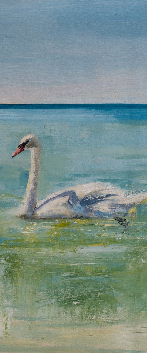 Swan in Skiathos by Sean Fear