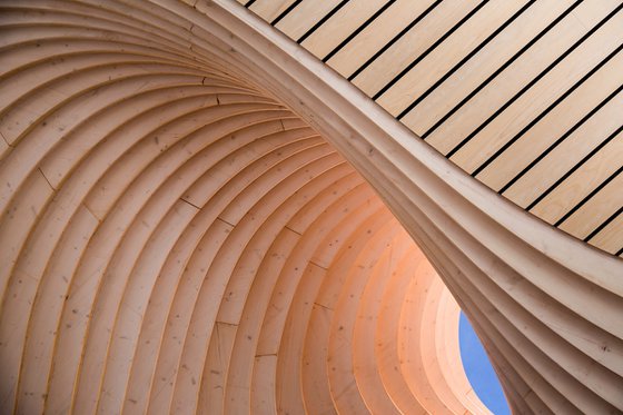 Timber Wave