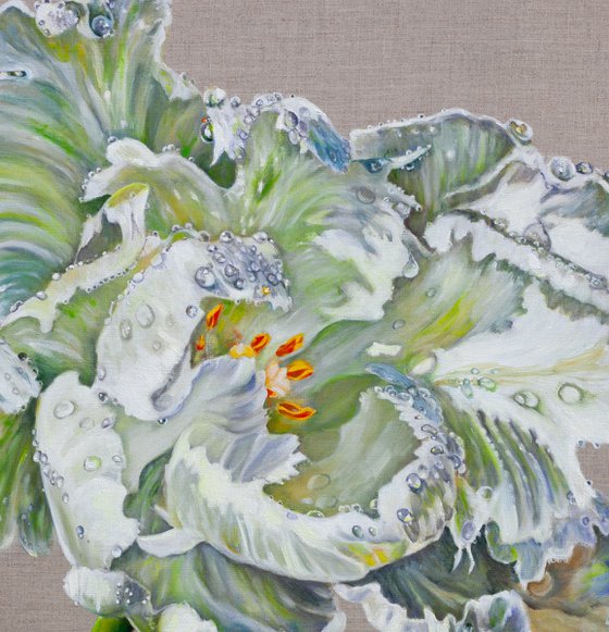 White Tulip