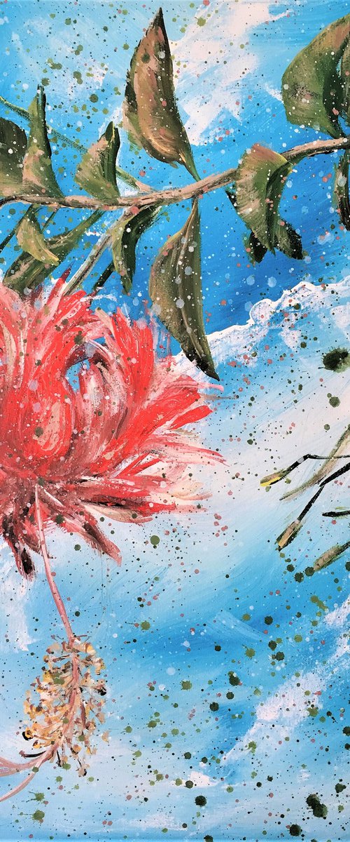 The Coral Hibiscus Through Your Eyes by HSIN LIN