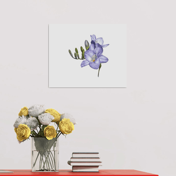 Purple freesia watercolor flowers