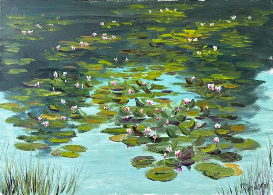 Water Lilies on the Quiet Pond