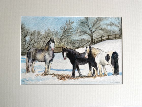 Winter Woollies - Ponies at Black Lane