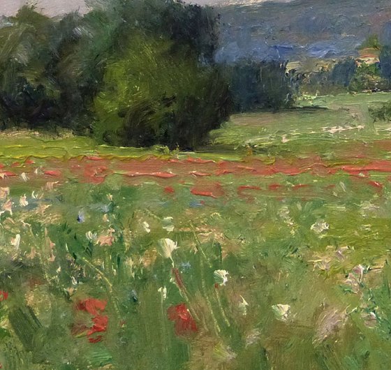 Field with Poppies in the Luberon