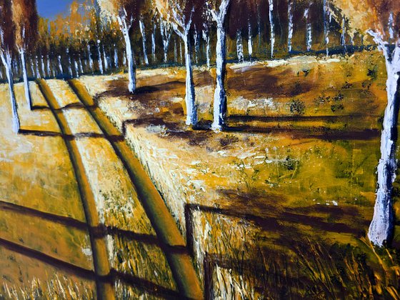 Long Shadows II