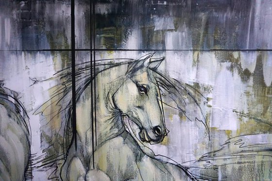 Carousel of Rain and Sun. Horses