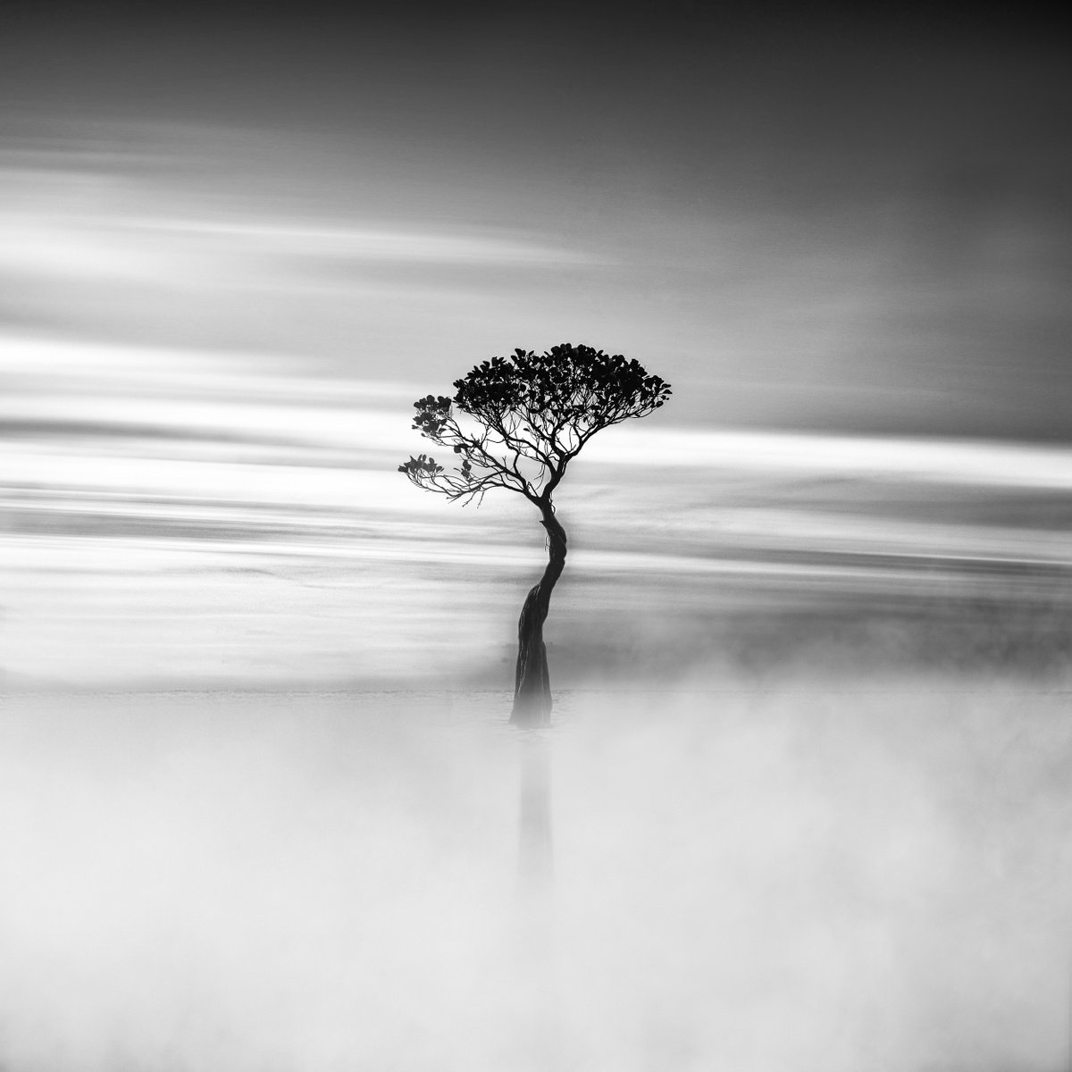 HARMONY...Limited Edition Photo Made in Eastern Indonesia by Harv Greenberg
