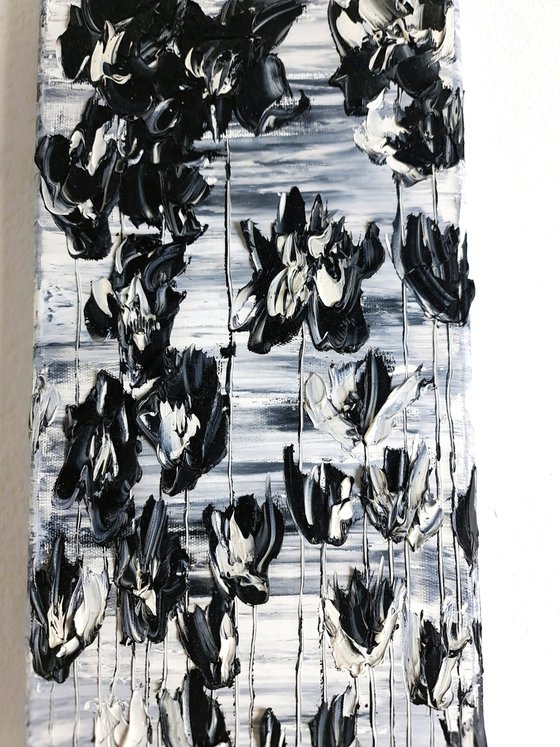 Black Poppies