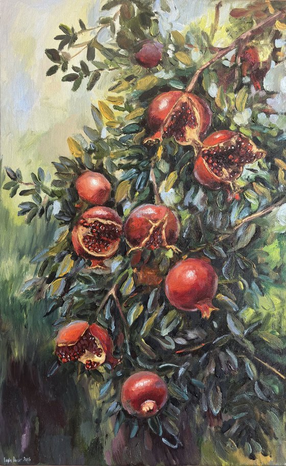 Pomegranate tree
