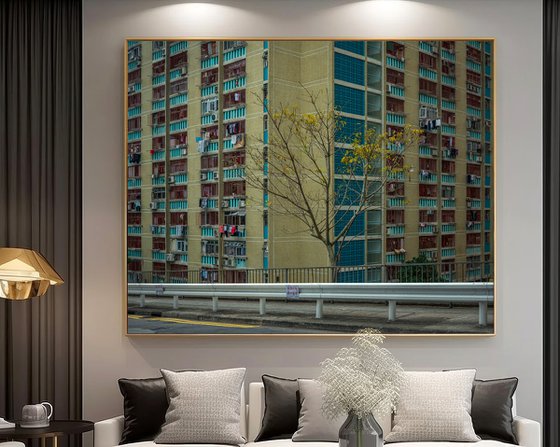 Autumn in the Concrete Jungle II - Signed Limited Edition