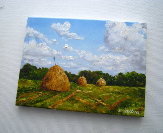 Country Hay Field