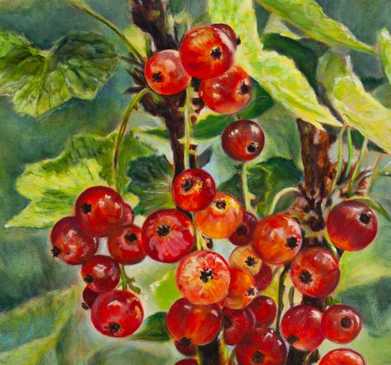Redcurrants
