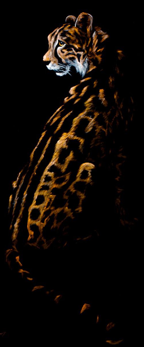 Leopard by Vlad Atasyan
