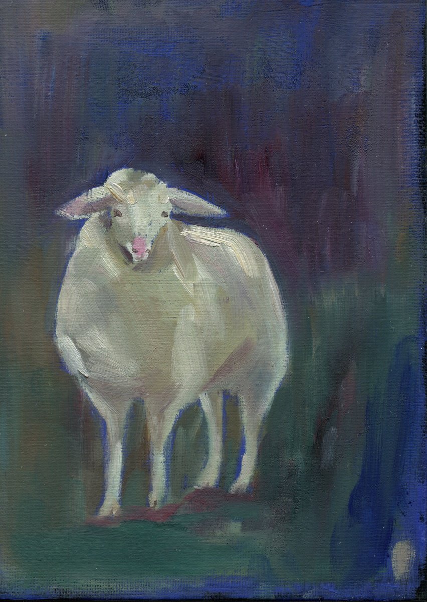Sheep 1 by Anja Rudko