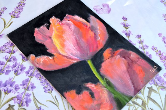 Coral tulips 1