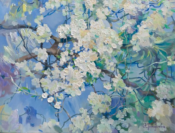 White Miracle of Spring