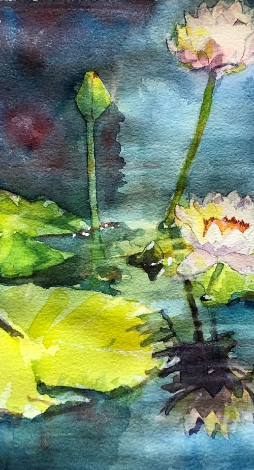 Water Lily by Bronwen Jones