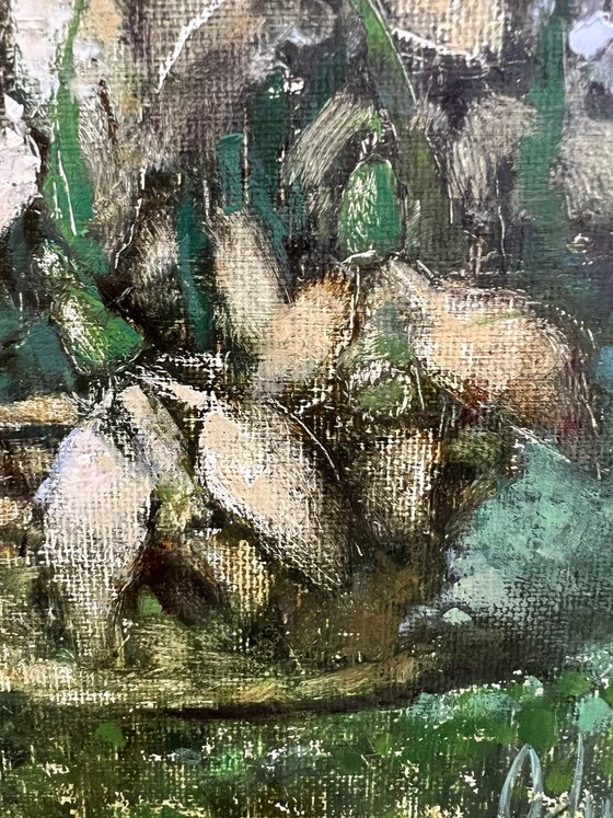 Sheep Snowdrops Pastoral Landscape