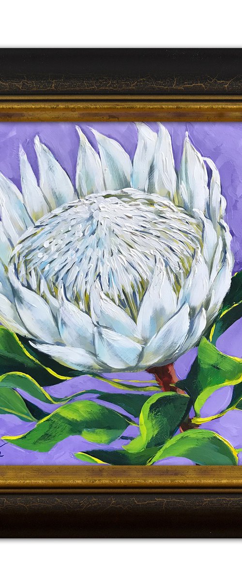 King White Protea by Irina Redine