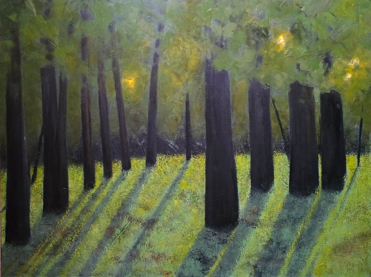 Impressionistic Landscape Oil Painting By Faith Patterson, 48 X 36, Light Within The Quiet, Original Artwork